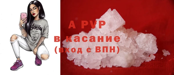 spice Беломорск