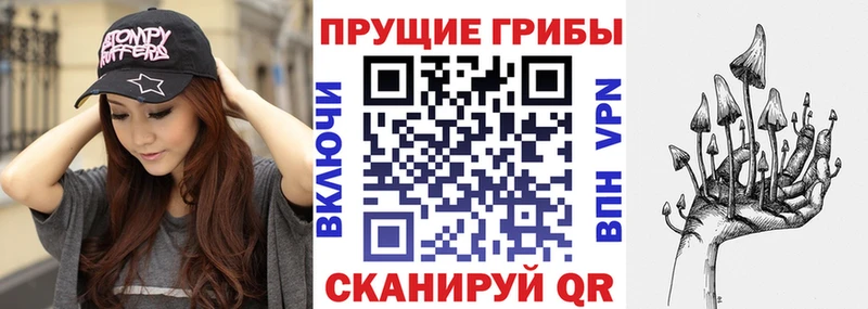 Псилоцибиновые грибы Cubensis  цены   KRAKEN   Воскресенск 